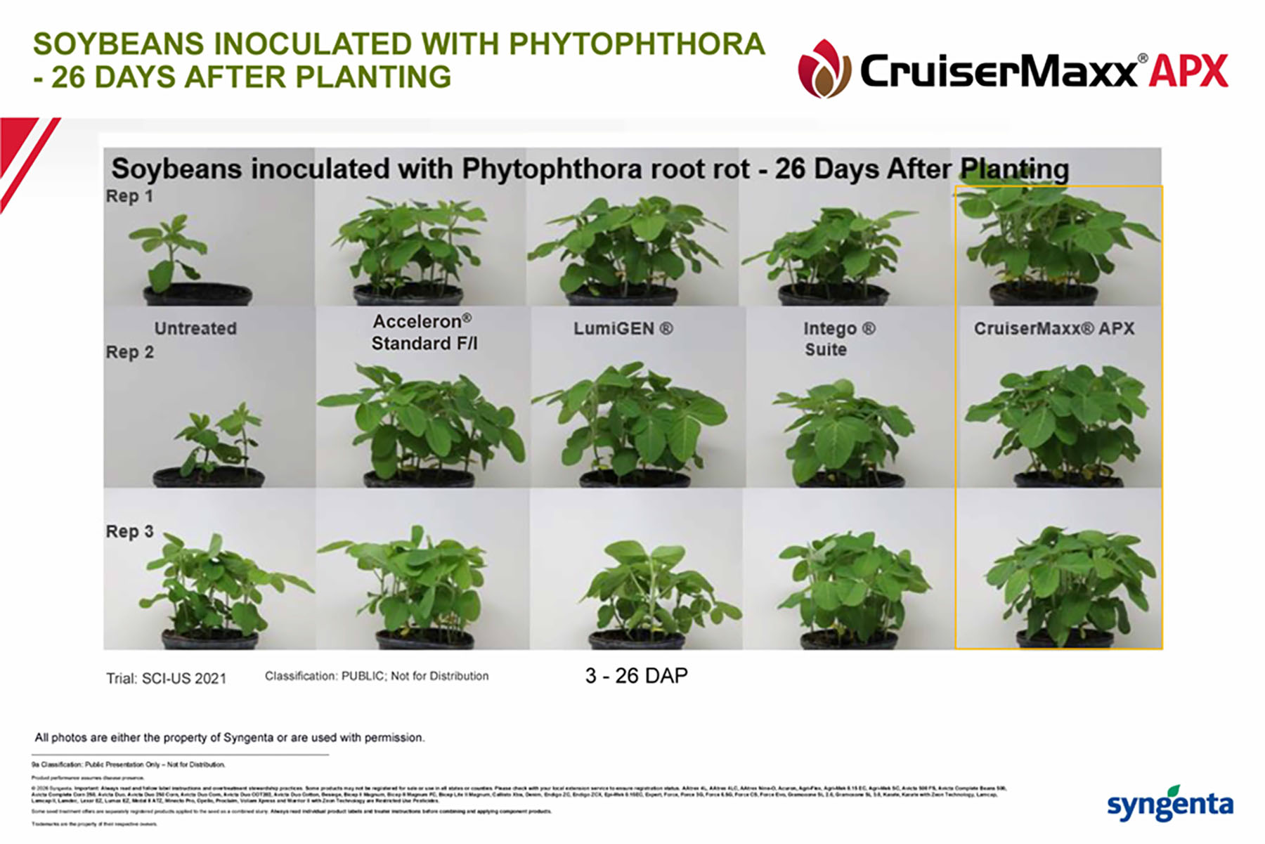 CP Storyboard - CruiserMaxx APX: Soybeans Inoculated with Phytophthora