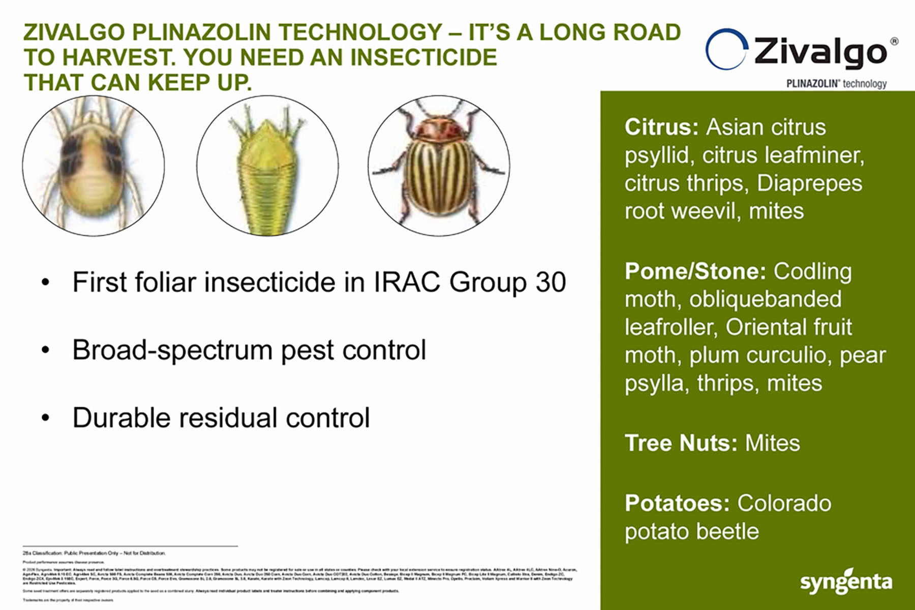 CP Storyboard - Zivalgo - Plinazolin Technology - For all labeled crops- insect control