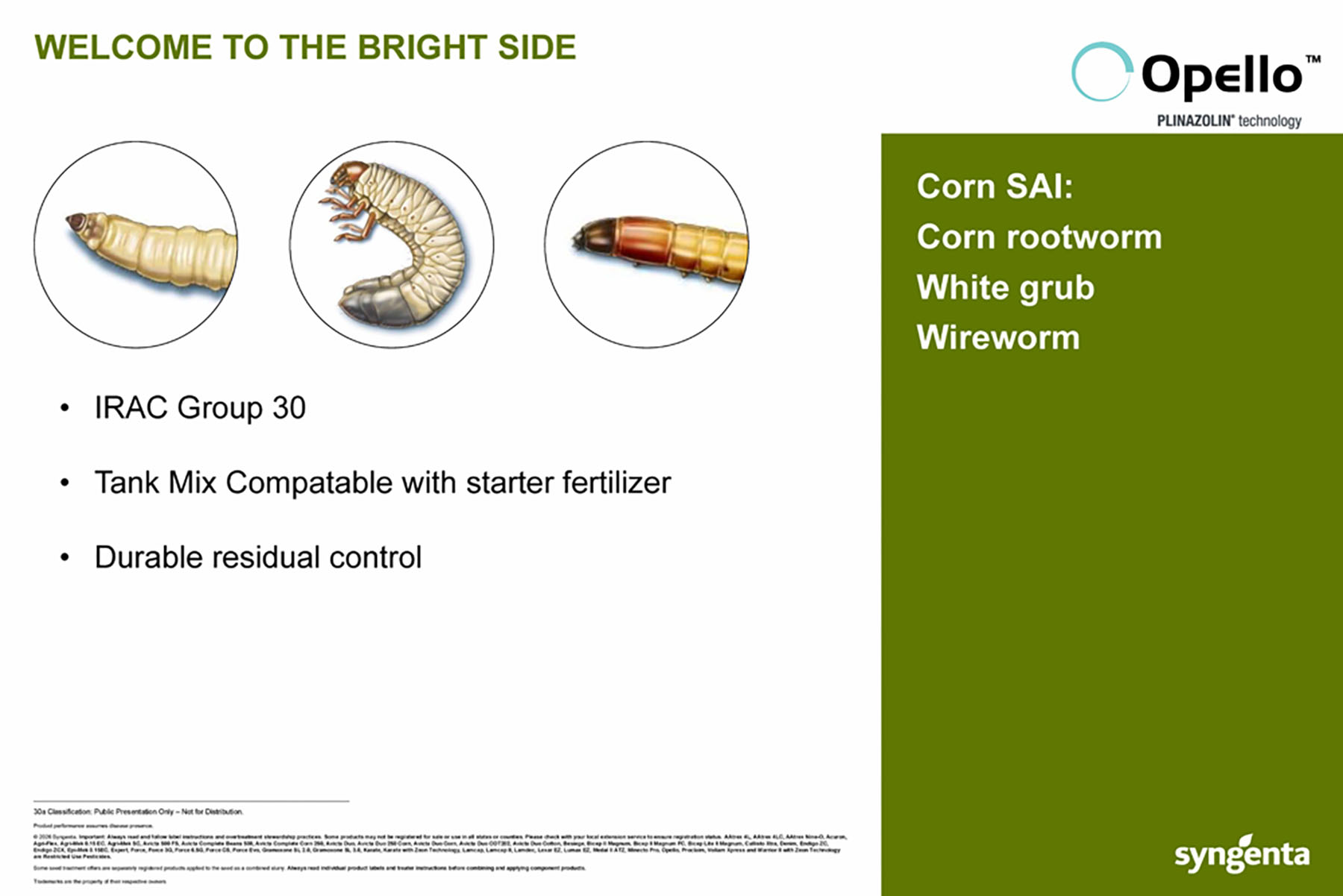 CP Storyboard - Opello - Plinazolin Technology - Welcome to the bright side