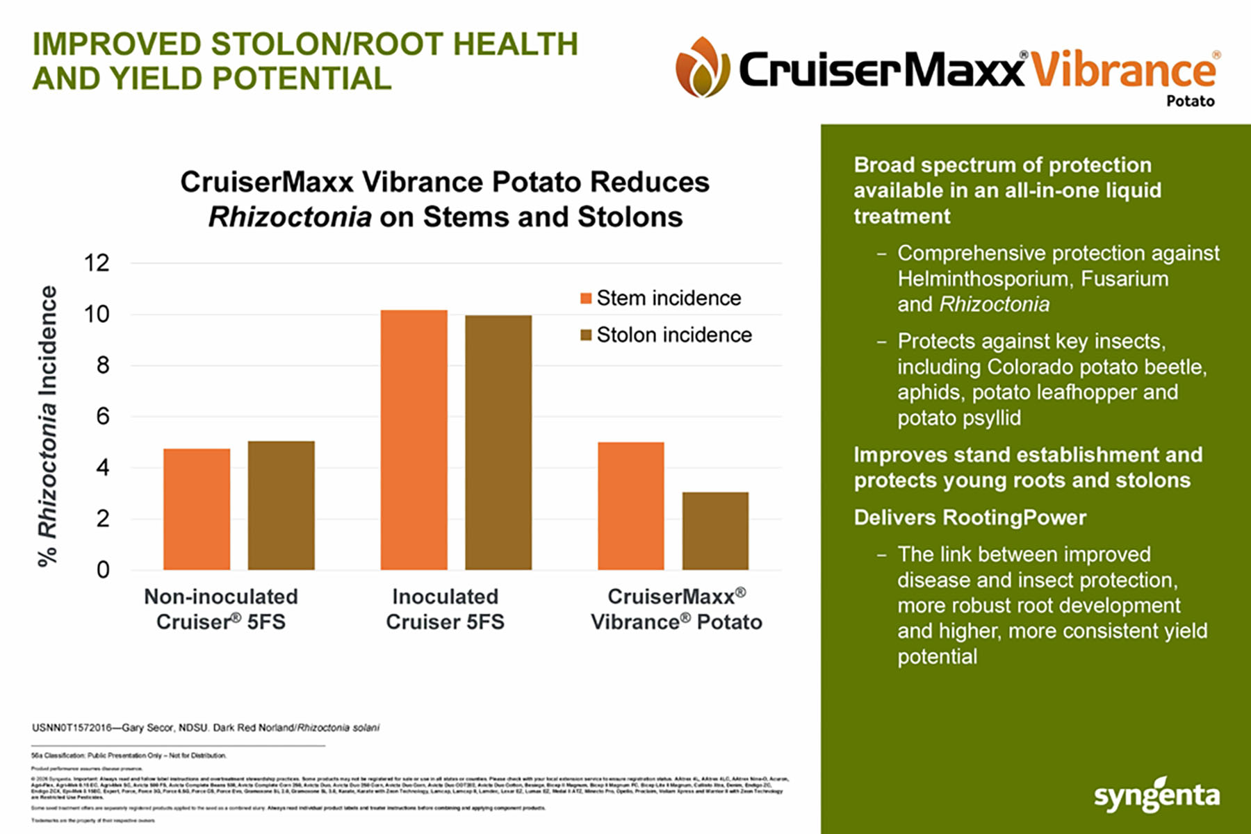 CP Storyboard - CruiserMaxx Vibrance Potato - Improved Stolon, Root health and Yield