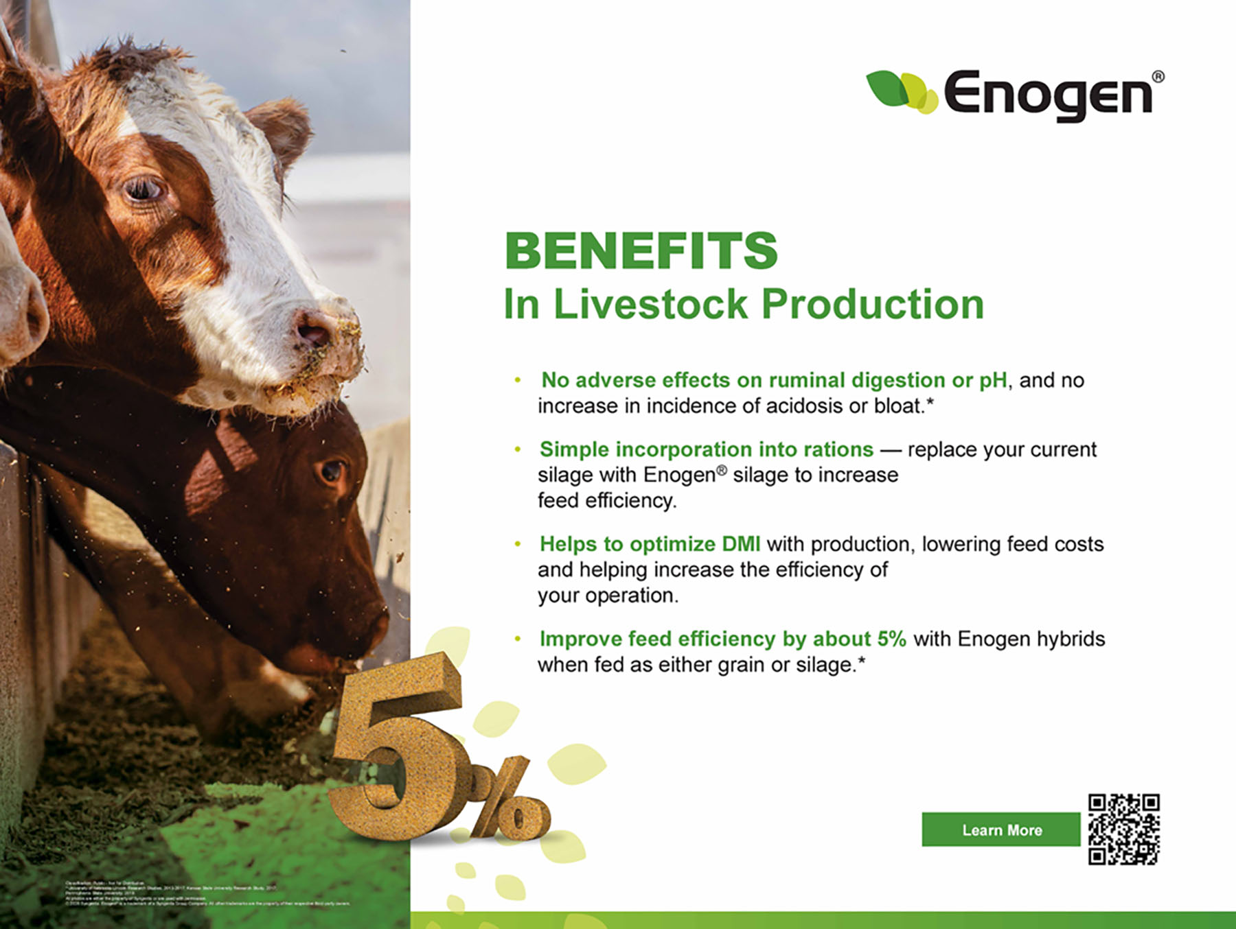 04 - Enogen Beef Benefits Storyboard