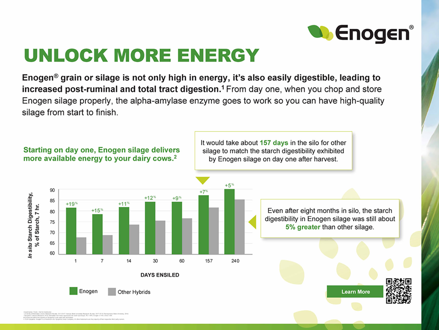 05 - Enogen Unlock More Energy Storyboard