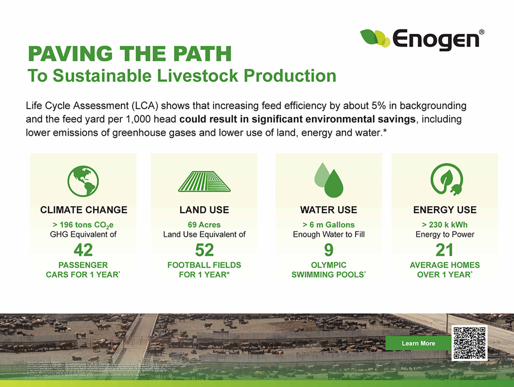 07 - Enogen Sustainable Beef Storyboard