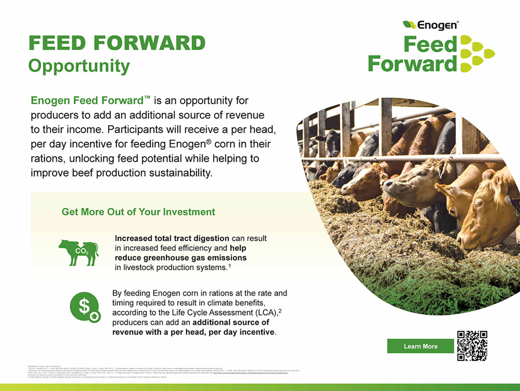 12 - Enogen Feed Forward Storyboard