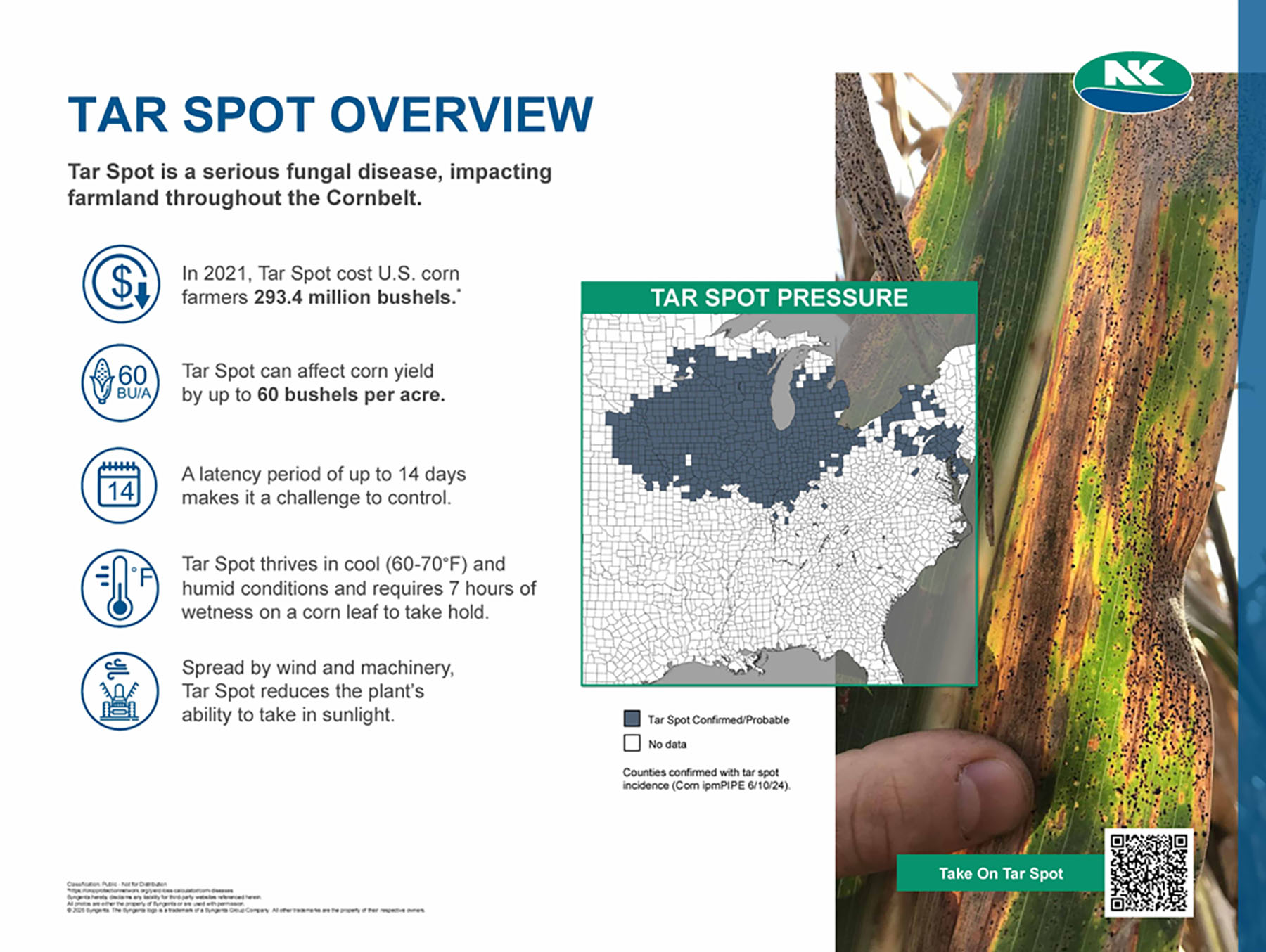 11 - NK Tar Spot Overview Storyboard