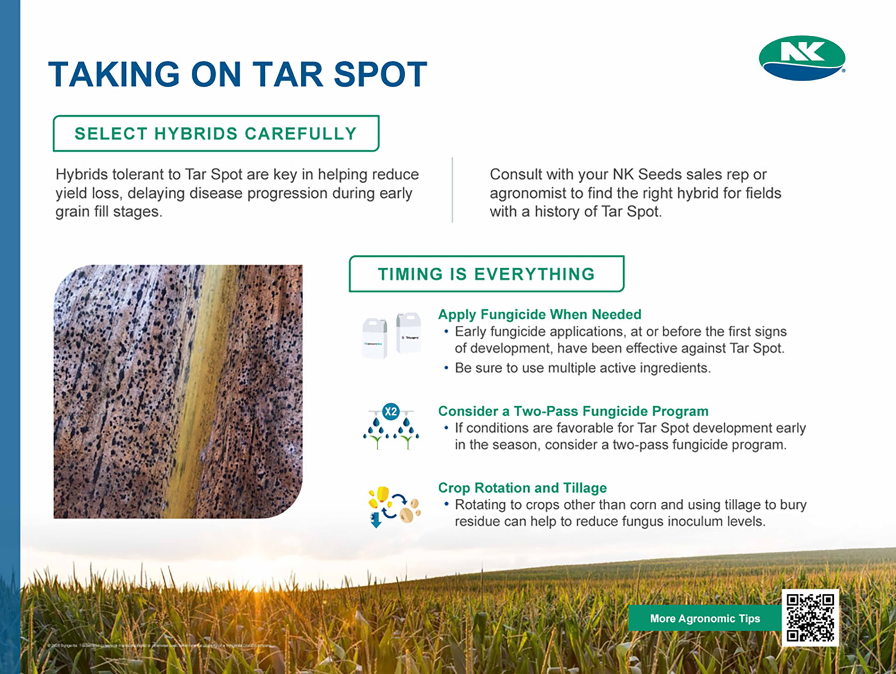 11 - NK Taking On Tar Spot Storyboard