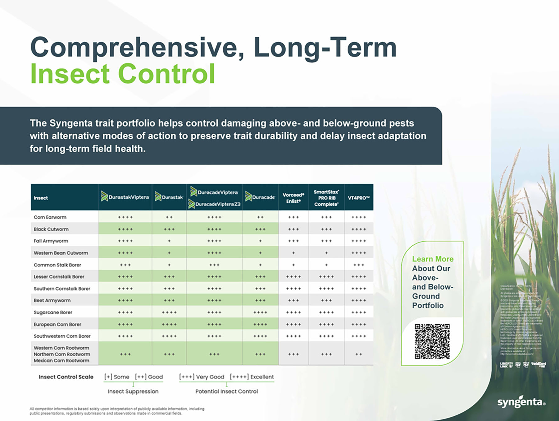 03 - Corn Traits Above- And Below-Ground Chart Storyboard