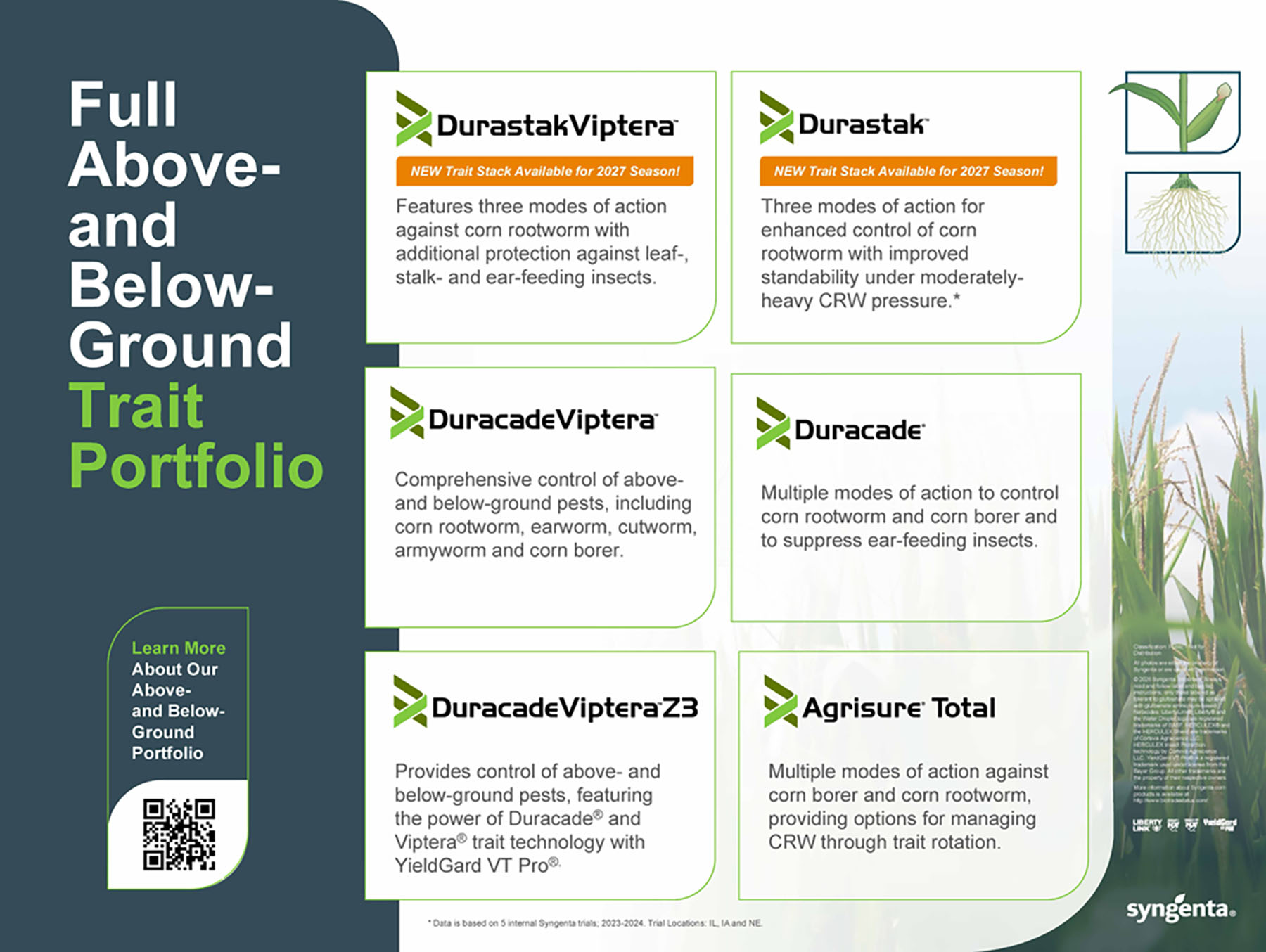 04 - Corn Traits Above- And Below-Ground Portfolio Storyboard