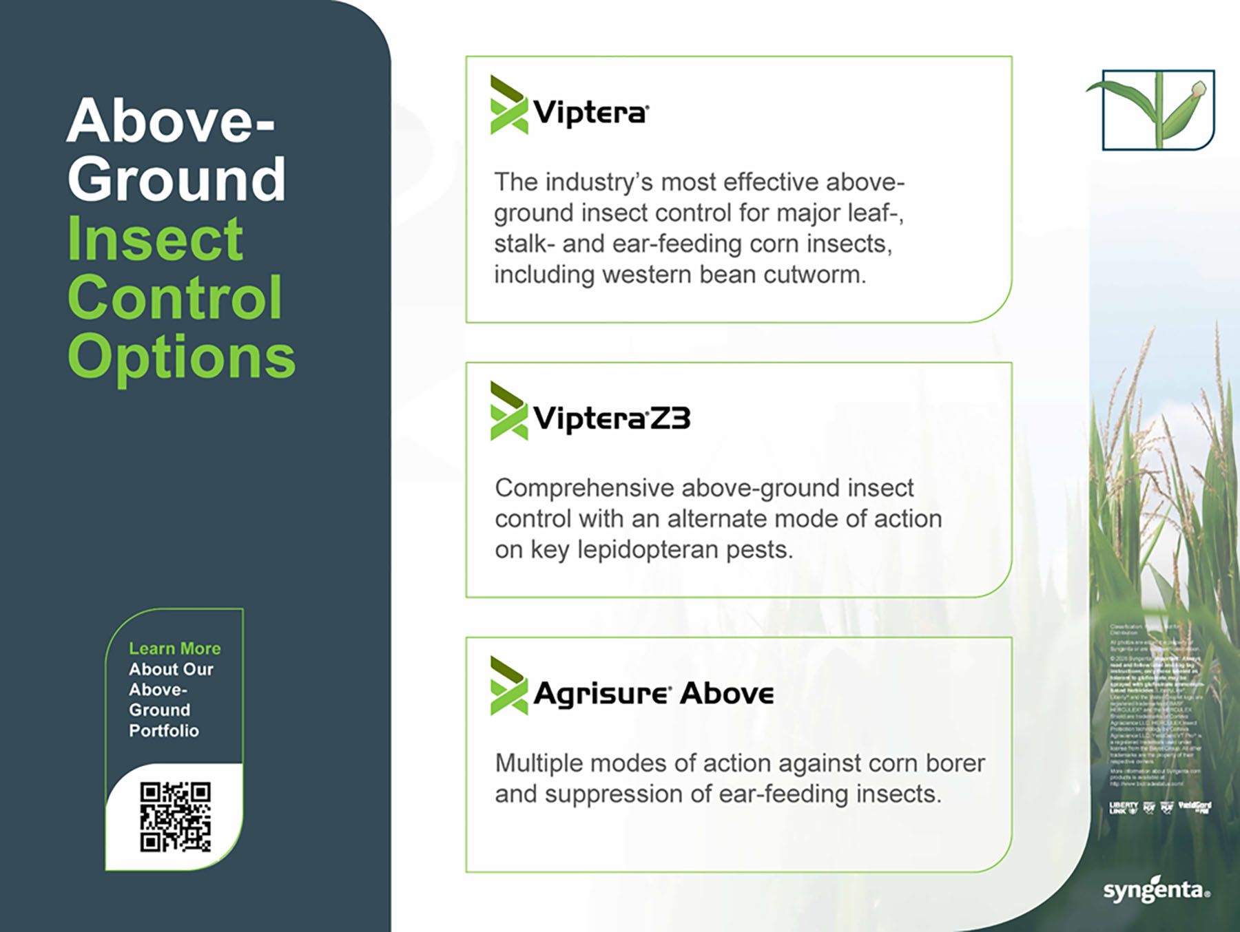 08 - Corn Traits Above-Ground Portfolio Storyboard